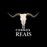 C0RN0S REAIS | AMADORES🐂